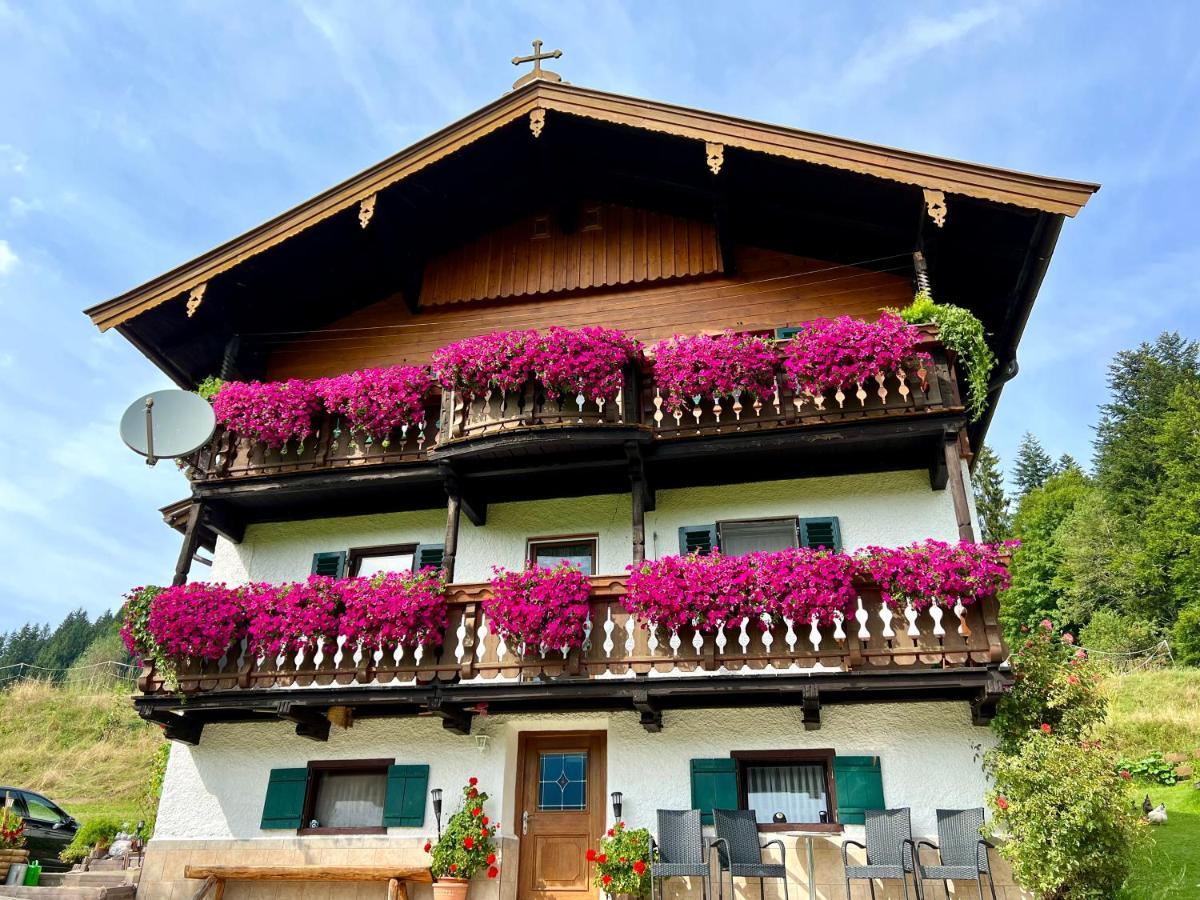 Appartement Sunnseit - Kitzbueheler Alpen St. Johann in Tirol Kültér fotó